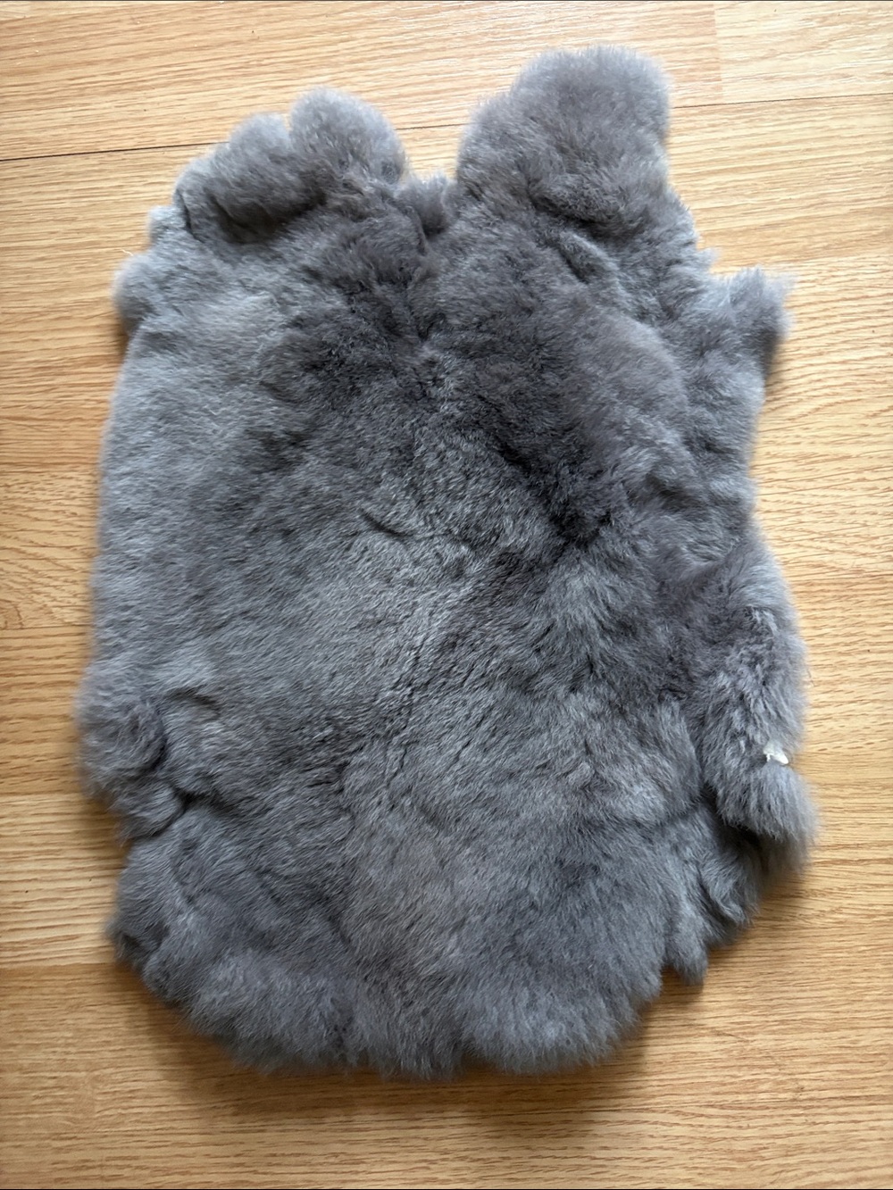 C0022 Rex rabbit hide